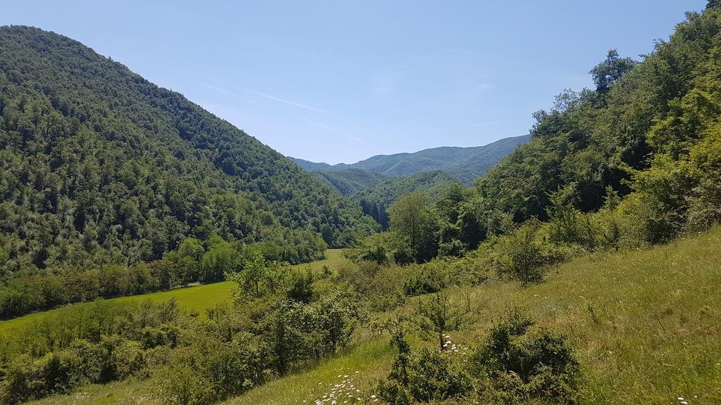 洛坎达迪阿尔伯瑞住宿加早餐旅馆 博尔戈圣洛伦索 外观 照片